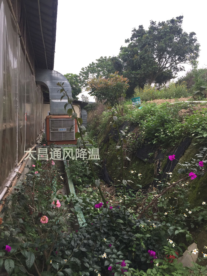 天氣太熱?環(huán)?？照{(diào)為你的餐廳守護(hù)清涼